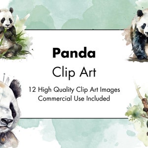 Panda Clipart - 12 JPGs de alta qualidade - Fundo branco e transparente - Ilustração em aquarela - Download digital - Para uso comercial