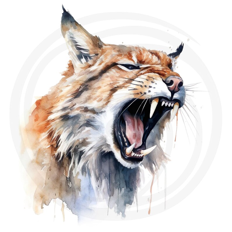 May include: Watercolor painting of a lynx with its mouth open, showing its teeth. The lynx is painted in shades of brown, orange, and white, with a white background.