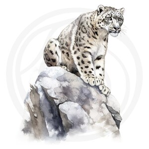 Puede incluir: Un leopardo de las nieves blanco con manchas negras se sienta en una roca gris. El leopardo mira hacia la derecha de la imagen. El fondo es blanco.