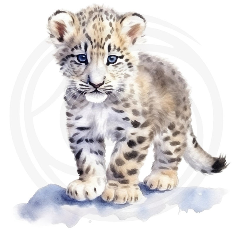 Puede incluir: Una pintura de acuarela de un cachorro de leopardo de las nieves con ojos azules. El cachorro est&aacute; de pie sobre una roca con un fondo blanco.