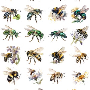 Puede incluir: Una colecci&oacute;n de acuarelas de abejas en varias poses y colores, incluyendo verde, azul y amarillo. Algunas abejas se muestran con flores, mientras que otras est&aacute;n volando o posadas en un panal.