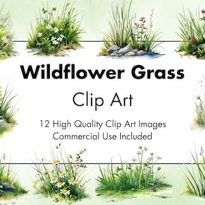 野草のクリップアート - 12 高品質 - 白と透明な背景 - 水彩イラスト - デジタルダウンロード - 商用利用