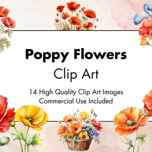 Clipart de fleurs de pavot - 14 JPG de haute qualité - Fond blanc et transparent - Illustration aquarelle - Téléchargement - Utilisation commerciale