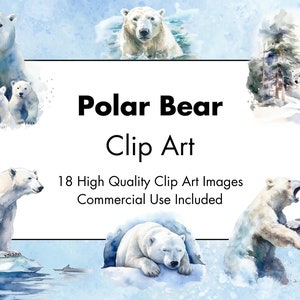 Polar Bear Clipart- 18 JPG de alta calidad -Fondo blanco y transparente -Ilustración en acuarela - Descarga digital - Para uso comercial