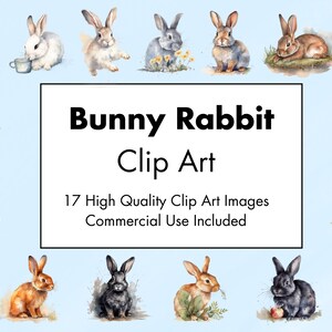 Bunny Rabbit Clipart - 17 hoge kwaliteit JPG's - Witte & Transparante Achtergrond - Aquarel Illustratie - Digitale Download - Commercieel gebruik