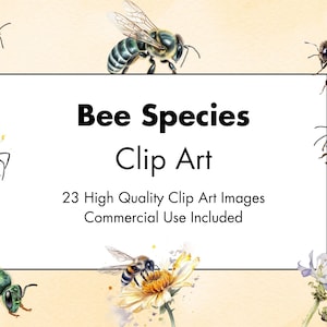 Puede incluir: Una ilustraci&oacute;n digital de 23 especies diferentes de abejas. Las abejas se representan en un estilo de acuarela y se muestran en varias poses. La imagen incluye el texto "Bee Species Clip Art" y "23 High Quality Clip Art Images Commercial Use Included".