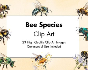 Bee Species Clipart - 23 High Quality JPGs - White & Transparent Background - Watercolor Illustration - Download - Commercial Use