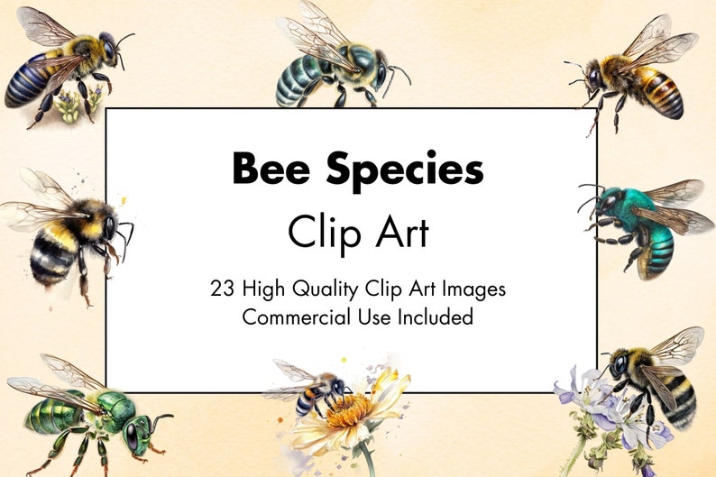 Puede incluir: Una ilustraci&oacute;n digital de 23 especies diferentes de abejas. Las abejas se representan en un estilo de acuarela y se muestran en varias poses. La imagen incluye el texto "Bee Species Clip Art" y "23 High Quality Clip Art Images Commercial Use Included".