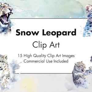 Snow Leopard Clipart- 15 JPG de haute qualité - Fond blanc et transparent - Illustration aquarelle- Téléchargement numérique - Pour un usage commercial