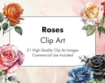 Rose Blume Clipart - 21 hochwertige JPGs - weißer & transparenter Hintergrund - Aquarell Illustration - digitaler Download - kommerzielle Nutzung