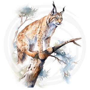 May include: A watercolor painting of a lynx sitting on a tree branch. The lynx is brown and white with a long tail. The tree branch is brown and has green leaves.