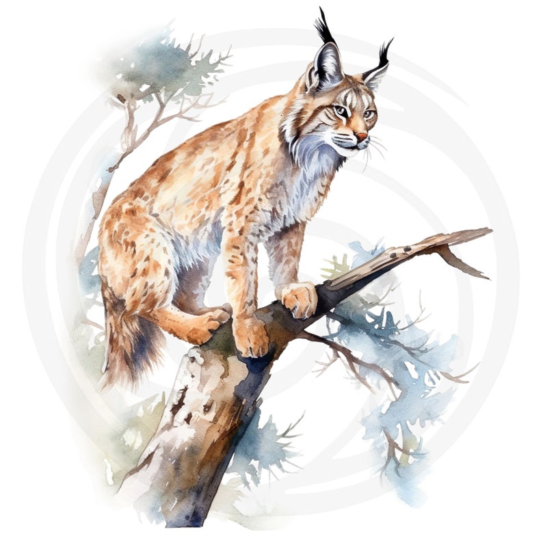 May include: A watercolor painting of a lynx sitting on a tree branch. The lynx is brown and white with a long tail. The tree branch is brown and has green leaves.