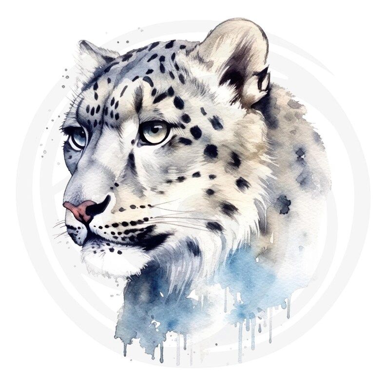 Puede incluir: Pintura acuarela de la cabeza de un leopardo de las nieves con salpicaduras de pintura azul y gris en el fondo.