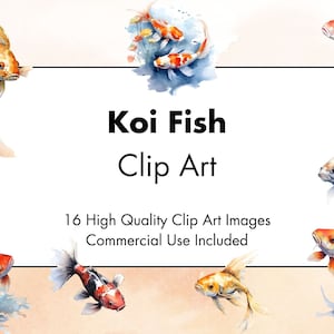 Koi Karpfen Fisch Clipart - 16 hohe Qualität - weiß & transparenter Hintergrund - Aquarell Illustration - digitaler Download - kommerzielle Nutzung