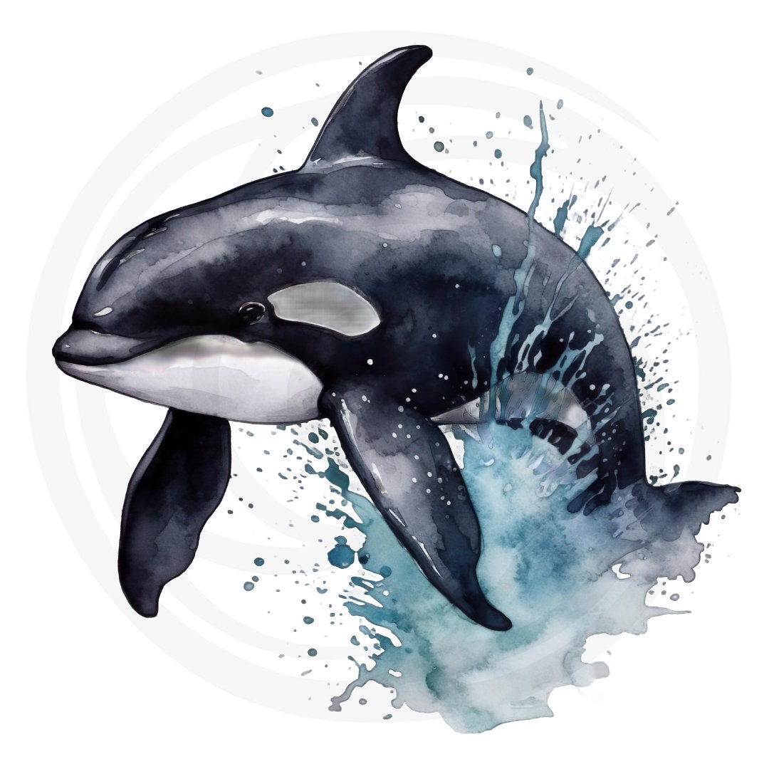 Sea Creature Clipart 14 High Quality Jpgs White &amp; - Etsy