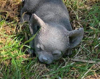 stone/concrete chihuahua puppy