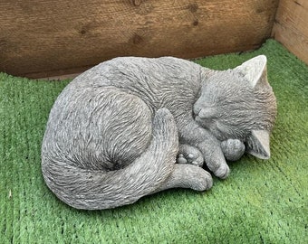 stone/concrete sleeping laying cat