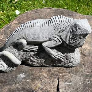 Concrete Lizard -  UK