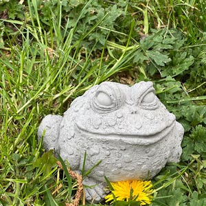 May include: A grey concrete frog ornament with closed eyes and a smiling expression. The frog is set amongst green grass and a yellow dandelion. The statue has a textured surface, suitable for a garden.