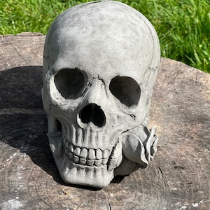 cráneo de piedra/hormigón con adorno de jardín de rosas