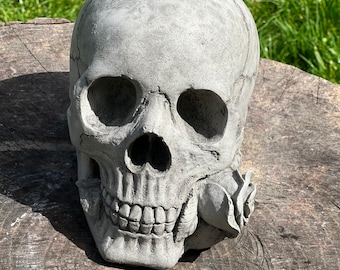 May include: A gray concrete skull sculpture with a rose on the side. The skull has detailed features, including eye sockets, a nasal cavity, and teeth. The sculpture is placed on a wooden surface.