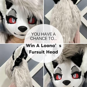 Op de afbeelding: Verschillende weergaven van een Loona fursuit-hoofd. Het hoofd is voornamelijk wit met grijze en zwarte accenten, rode ogen en een zwarte neus. De tekst luidt: "YOU HAVE A CHANCE TO... Win A Loona's Fursuit Head READ DESCRIPTION!"