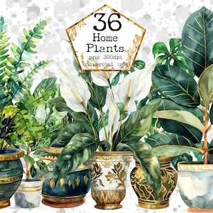 PNG Plantas de interior en maceta Acuarela Clipart Hermoso paisaje arte Plantas clipart PNG Descarga instantánea Papel Artesanía Junk Journal Scrapbooking