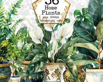 Houseplants in pot Watercolor Clipart Beautiful landscape art Plants clipart PNG Instant Download Paper Crafts Junk Journal Scrapbooking