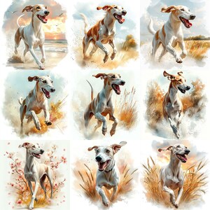 May include: Nine watercolor paintings of a white and brown dog running through a field. The dog is depicted in different poses and settings, including a field of tall grass, a field of wildflowers, and a field of wheat.
