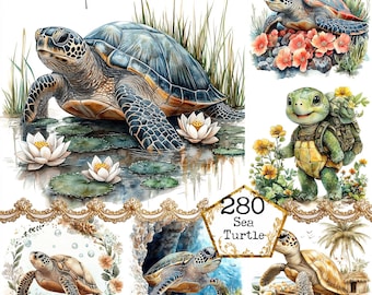 JPEG Watercolor Sea Turtle Clipart Bundle Coral Reef Ocean Clipart Summer Clipart Instant Download Paper Crafts Junk Journal Scrapbooking