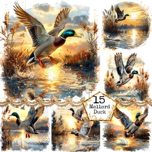 JPEG Pato real Pato salvaje JPEG Puesta de sol Caza de humedales Patos voladores Temporada de caza Descarga instantánea Artesanías de papel Diario basura Scrapbooking