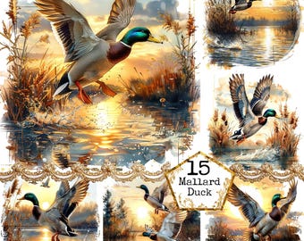 JPEG Pato real Pato salvaje JPEG Puesta de sol Caza de humedales Patos voladores Temporada de caza Descarga instantánea Artesanías de papel Diario basura Scrapbooking