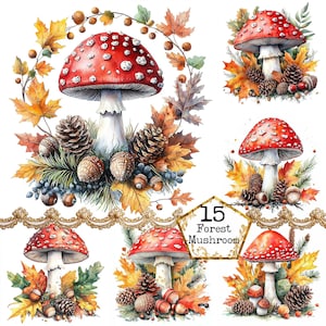 JPEG magique forêt d'automne Clipart Bundle champignon rouge aquarelle champignon Téléchargement instantané papier artisanat indésirable journal Scrapbooking