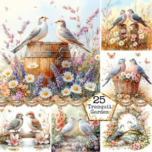JPEG Aquarell Vögel in einem Garten Illustrationen Garten Clipart Frühling Vögel Clipart Sofortiger Download Papier Handwerk Junk Journal Scrapbooking