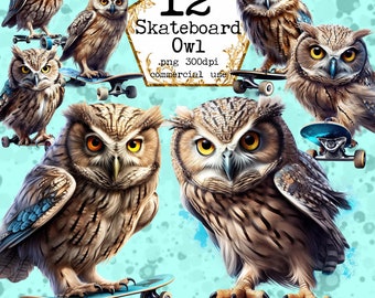 Owl on a Skateboard Clipart Bundle Instant Download Paper Crafts Junk Journal Scrapbooking