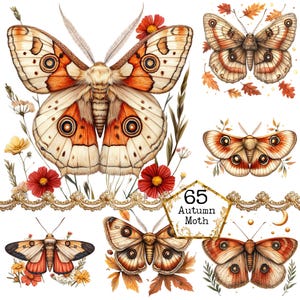PNG + JPEG Aquarell Herbst Motte Clipart Bundle Frühling Clipart mystische Motten Art Instant Download Papier Handwerk Junk Journal Scrapbooking