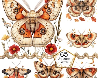 Puede incluir: Una ilustración digital de seis polillas de otoño con alas marrones, naranjas y blancas. Las polillas están rodeadas de flores y hojas. El texto "65 Autumn Moth" está en un hexágono dorado.