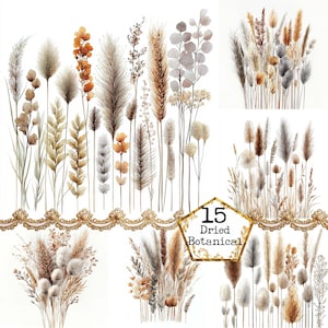 JPEG Pampa Grass Clipart Flores silvestres Wild Grass Clipart Download instantâneo Uso comercial Cartões Fazendo papel artesanal Junk Journal Scrapbooking