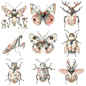 a bunch of bugs that are on a white surface