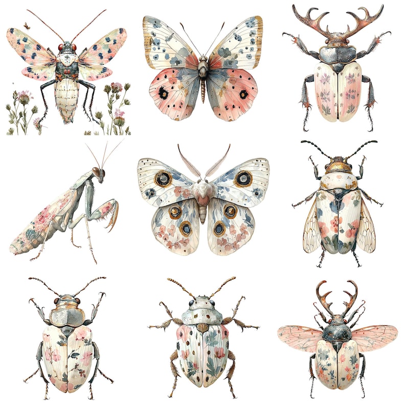 a bunch of bugs that are on a white surface