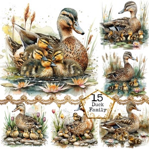 JPEG canard cane aquarelle mère canard et canetons Clipart art mural oiseau des cliparts téléchargement immédiat papier artisanat indésirable journal Scrapbooking