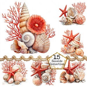 JPEG Collection de coquillages et coquillages des récifs coralliens des cliparts Clipart de mer nautique usage commercial Téléchargement instantané Artisanat en papier Journal indésirable Scrapbooking