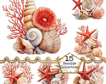 JPEG Collezione di conchiglie di barriera corallina Clipart Clipart di mare nautico Uso commerciale Download immediato Artigianato di carta Diario spazzatura Scrapbooking