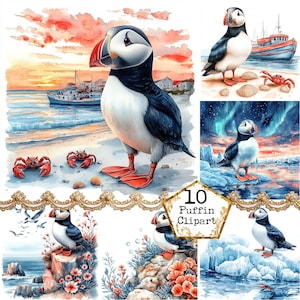Pacchetto di clipart di pulcinella di mare in formato JPEG, vista estiva sulla spiaggia, tramonto sulla spiaggia, clipart di riva, download istantaneo, artigianato di carta, diario di spazzatura, scrapbooking