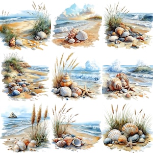 a painting of seashells on a sandy beach