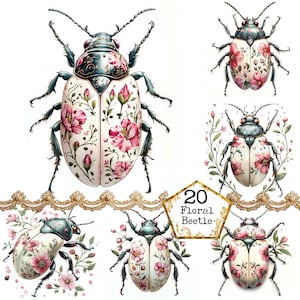 JPEG Floral Beetle Clipart Bundle Vintage Insect Clipart Commercial Use  Instant Download Paper Crafts Junk Journal Scrapbooking