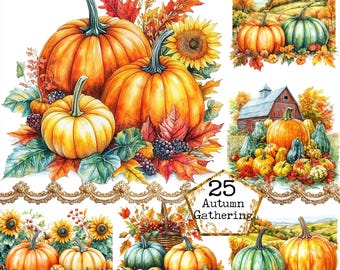 PNG Harvest Pumpkins Clipart Bundle Autumn Pumpkin Display Fall Clipart Commercial Instant Download Paper Crafts Junk Journal Scrapbooking