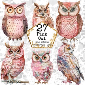 Ensemble de cliparts hibou rose aquarelle PNG hibou vintage PNG hiboux royaux aquarelle Clipart téléchargement immédiat papier artisanat indésirable journal Scrapbooking