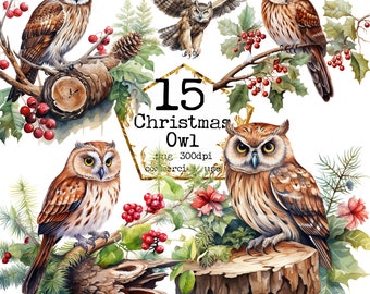 PNG Watercolor Winter Owls Clipart Bundle Tree Trunk PNG Transparent Background Instant Download Paper Crafts Junk Journal Scrapbooking