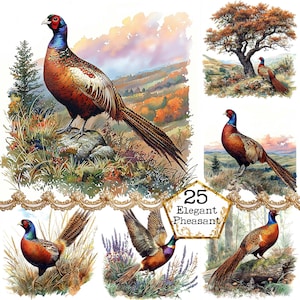 Ensemble de cliparts aquarelle faisan JPEG Illustrations de chasse Graphiques de faisan Téléchargement instantané Papier Artisanat indésirable Journal Scrapbooking